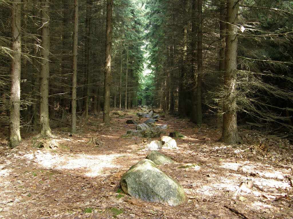 Kounovské kamenné řady - Czech Stonehenge by rastr