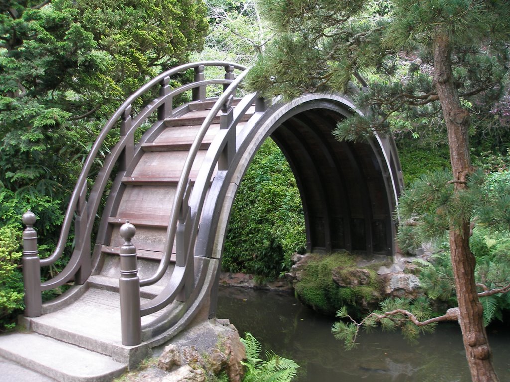 Bridge at Japenese Tea Garden by tlist