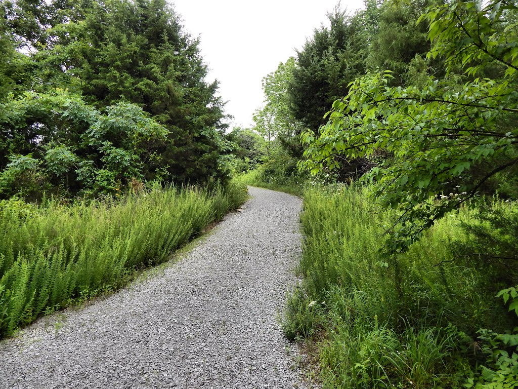 Jeffers Bend Recreation Area by Woodland Trekker