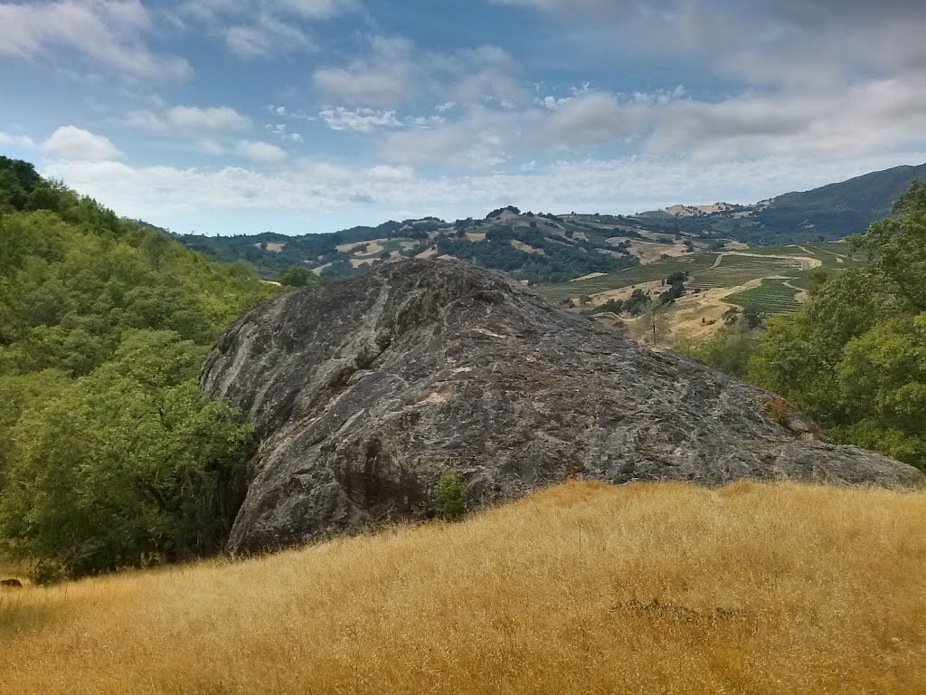 Pine Flat Road Rock by CalderFH