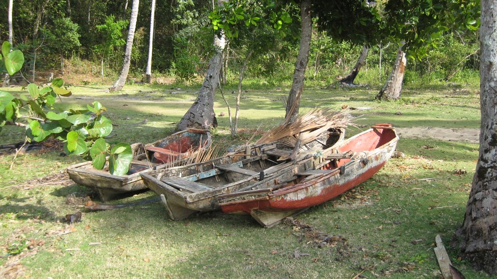 Barque Pecheur Playa Moron by yakesdominican