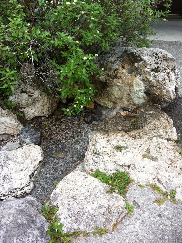 Hot Water coming out of rock by Greg Simonson