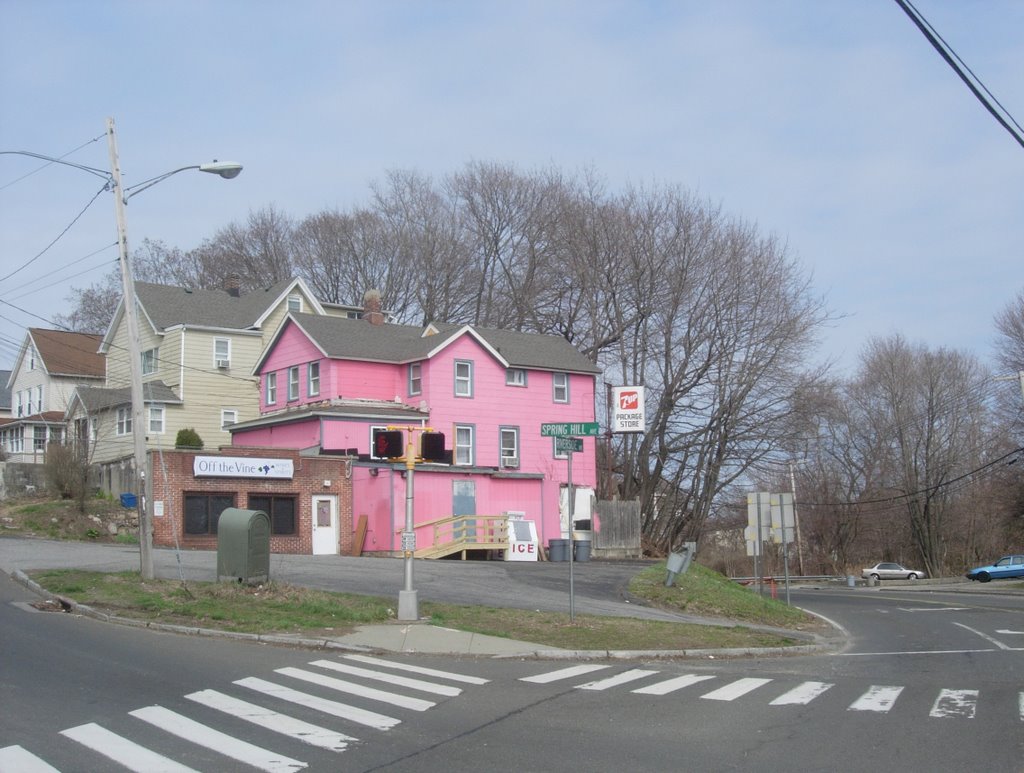 Pink Package Store by Aaron A