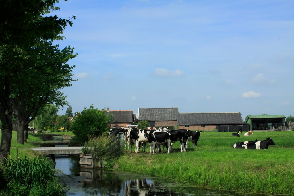 Buurtschap de Hem in Bergambacht by watersnip