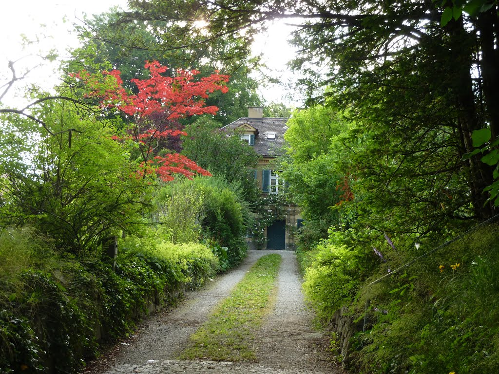 Gartenromantik in Augsburg by Observer39