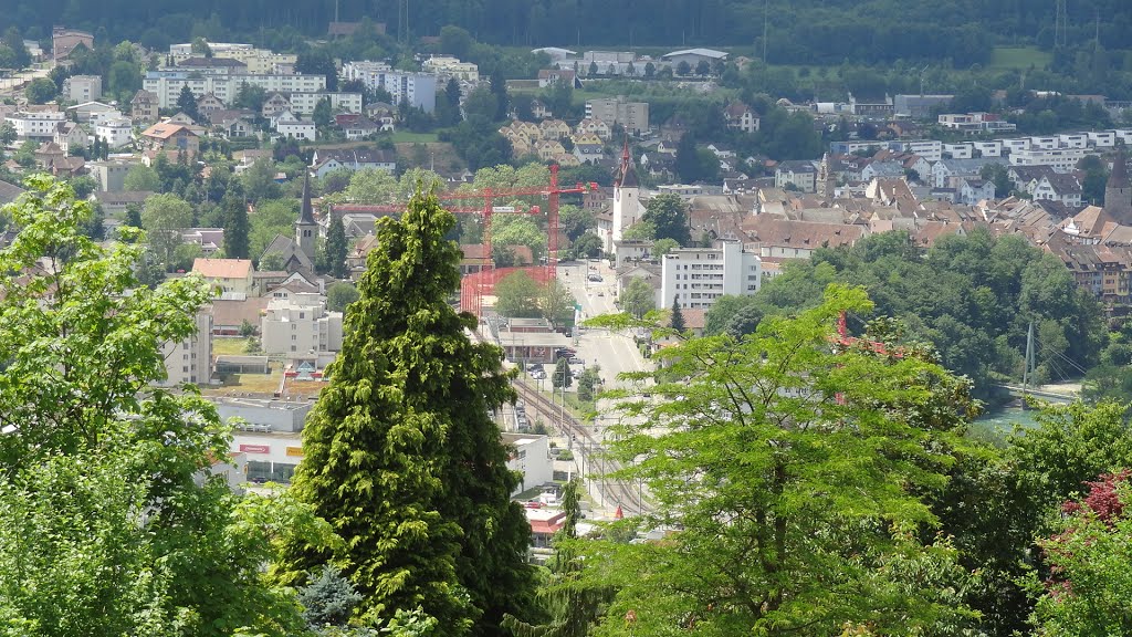 View down to Bremgarten by saschafuchs