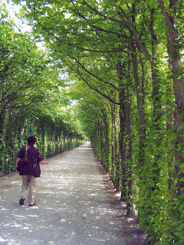 Im Park der Eremitage by Jolanta Sittner - jo…