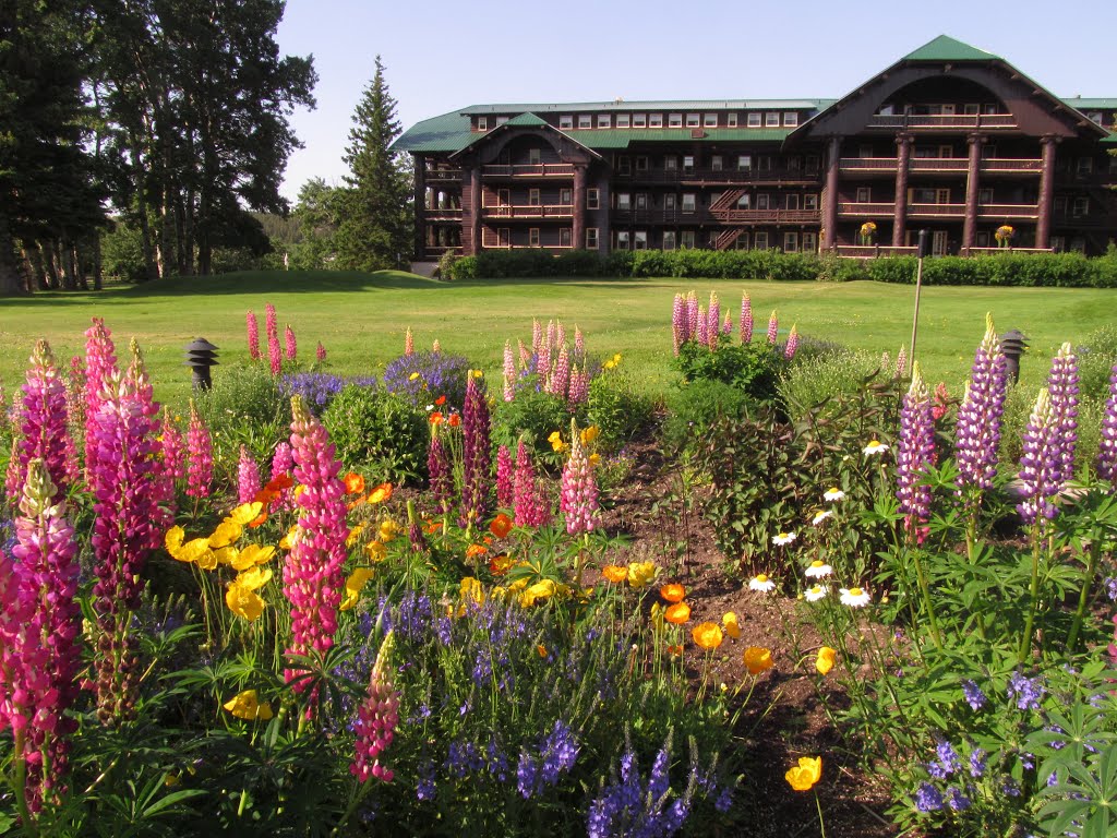 Vividly Colourful, Gorgeous Gardens At Glacier Park Lodge, East Glacier Montana Jul '13 by David Cure-Hryciuk