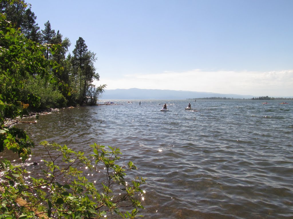 Sparkling Waters On A Burning Hot 100F (38C) Day At Flathead Lake State Park Montana Jul '13 by David Cure-Hryciuk