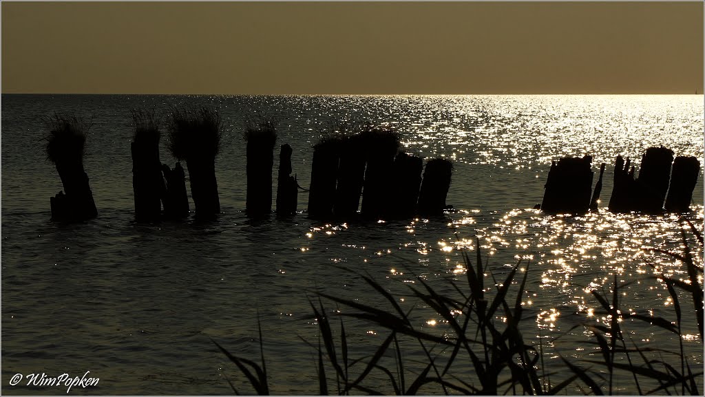 Gouden uur aan het IJselmeer by Wim Popken