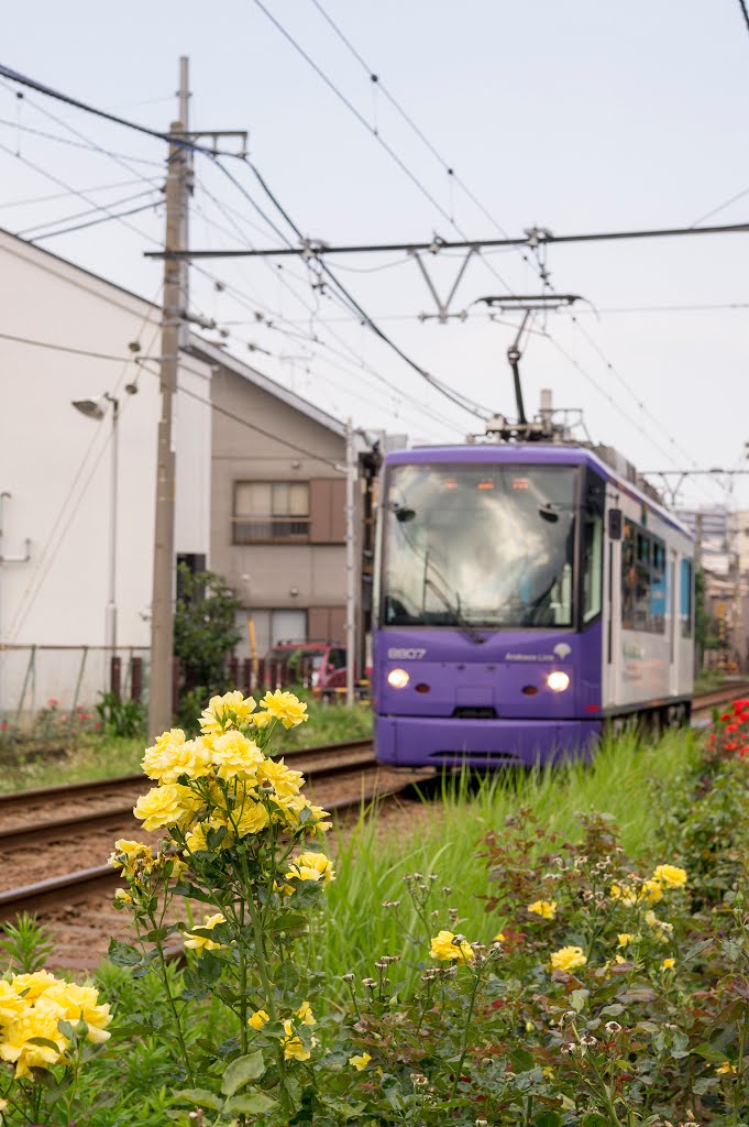 Toden Arakawa Line / 都電荒川線 by Kangoo_