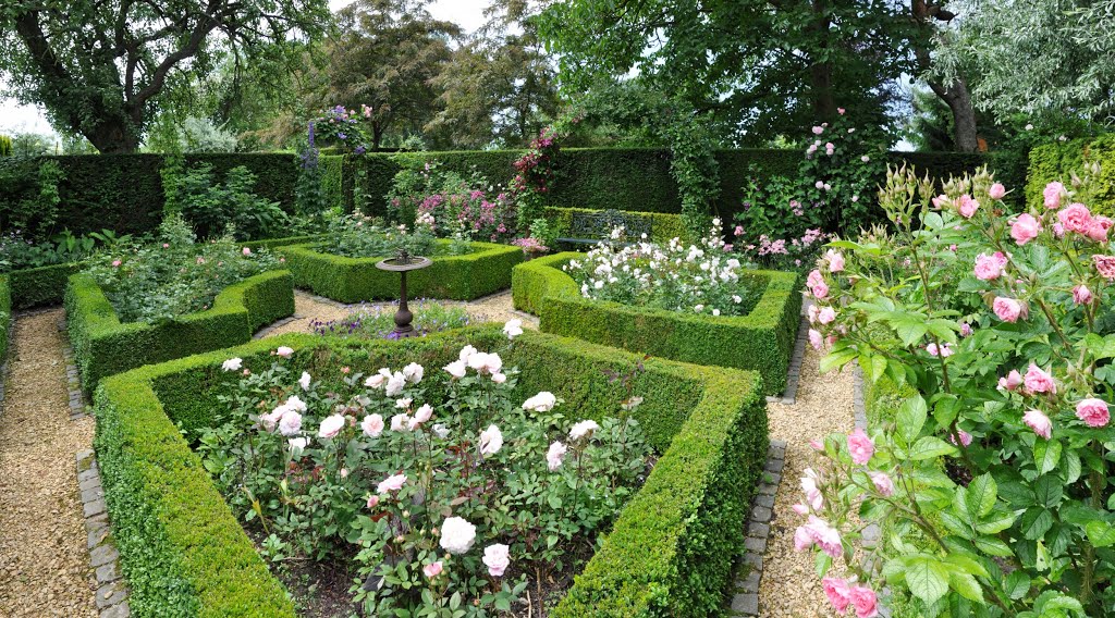 Rose garden by wmolders