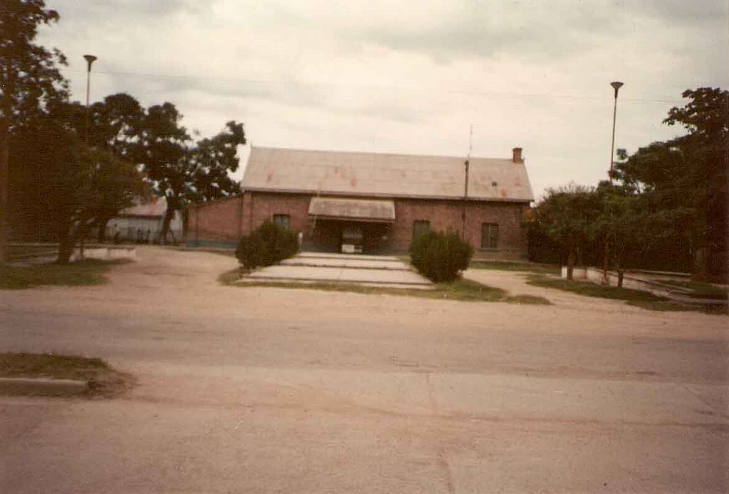 Estación Fernández by aleiva