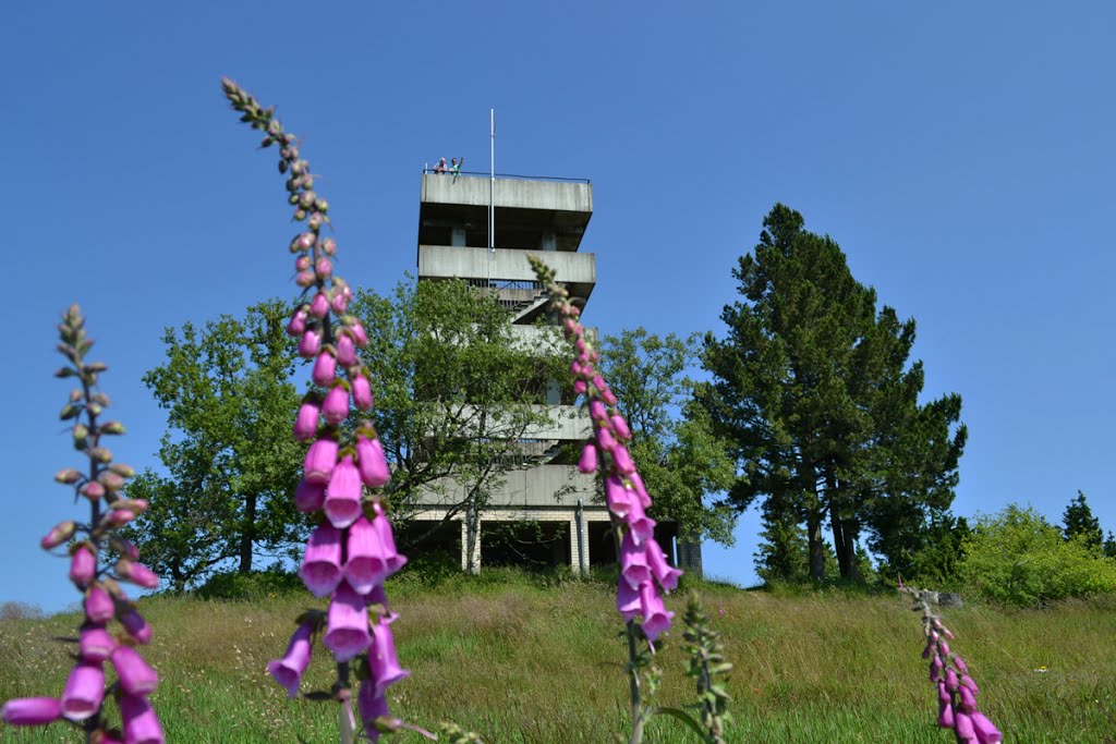 Bollerbergturm by 14MAN02