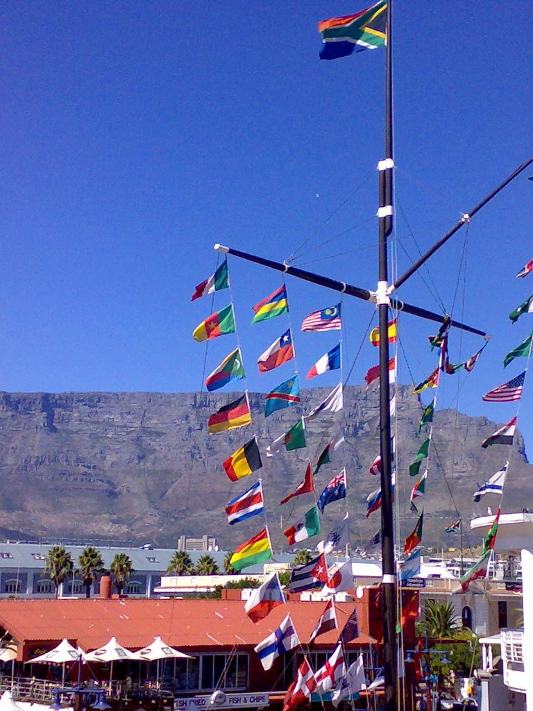 World flags by dale grove