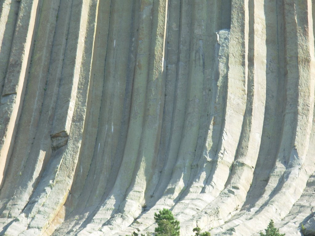 Devils Tower columns by B Dichamp