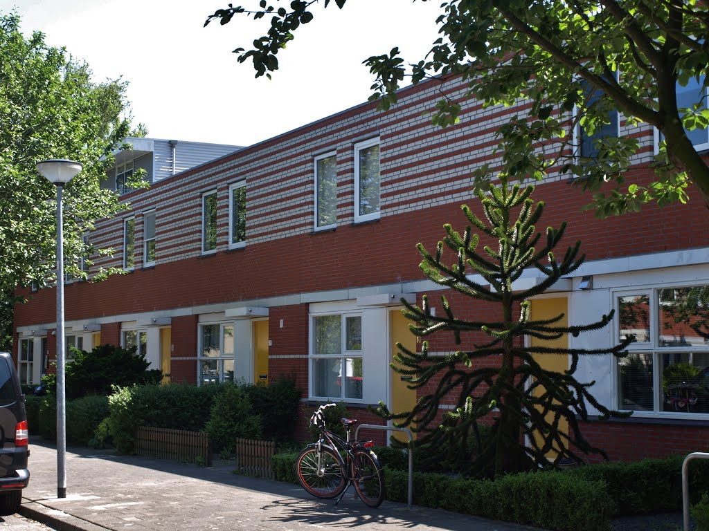 Woningen in de J. Wagenaarstraat in de Wijk Corpus den Hoorn in Groningen van Oving Architecten. Rechts een slangenden of apenboom (Araucaria araucana). by Hans R van der Woude