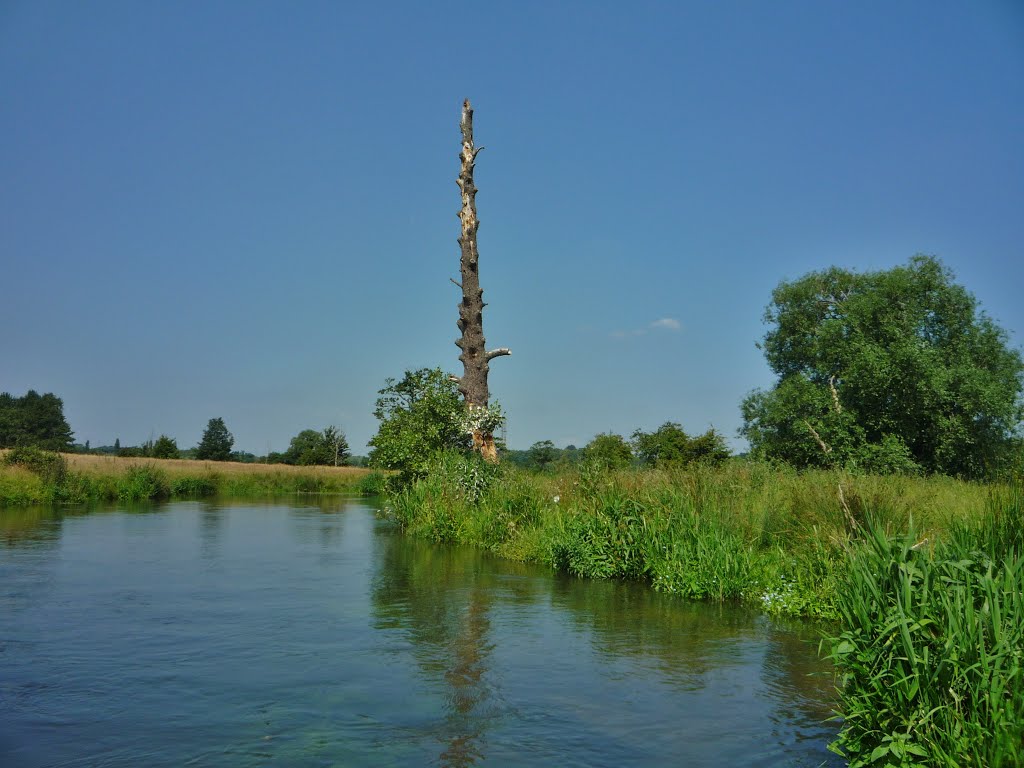 River Wey- blue sky day by RobBobTun