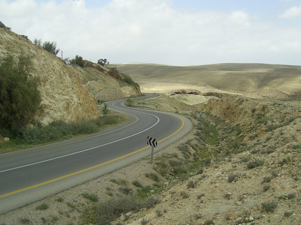 The long and winding #3199 road by DiAr