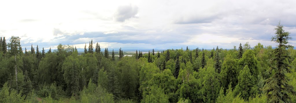 View from Talkeetna Lodge; Denali in the Clouds by Ed Hand