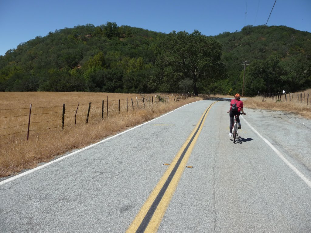 Close to the San Felipe Rd / Metcalf Rd intersection by Alexander Avtanski