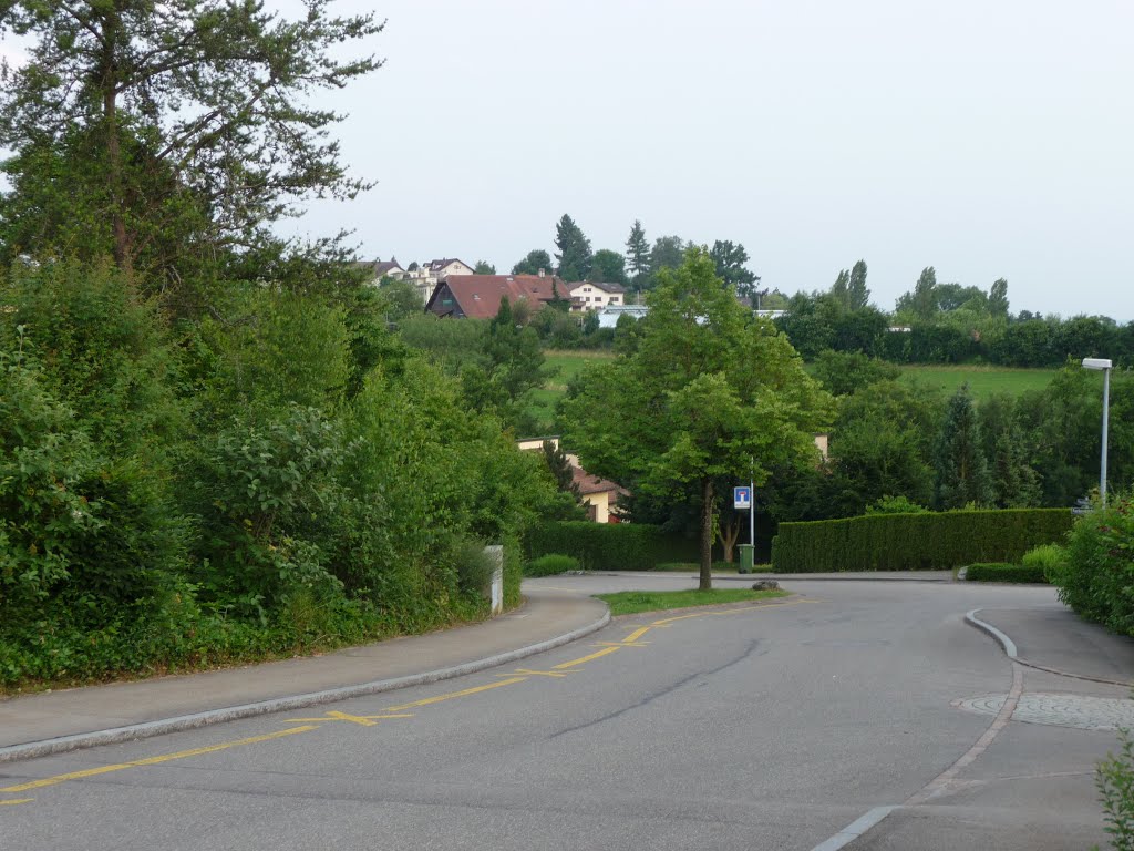 Pflanzerbachstrasse in Widen mit Blick nach Berikon by bienenritter