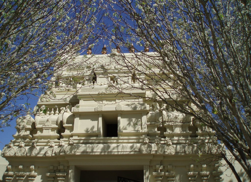 Meenakshi Temple by Lubomira Soroko