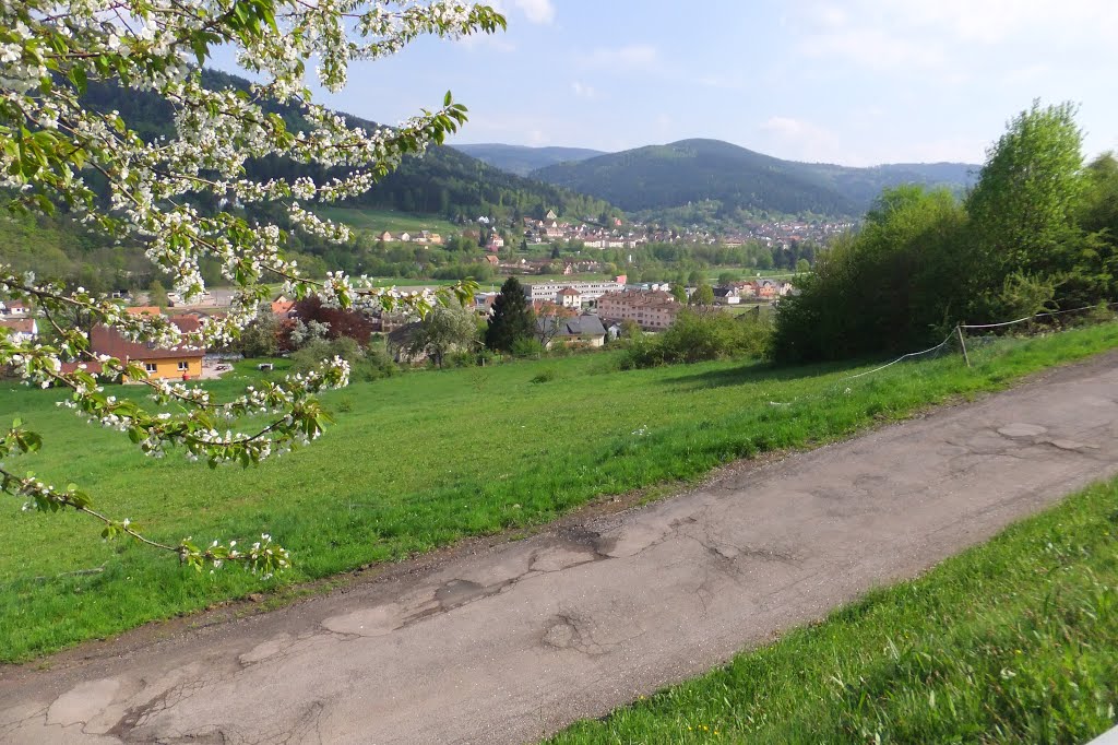 Schirmeck, vue sur Rothau by Nidoo