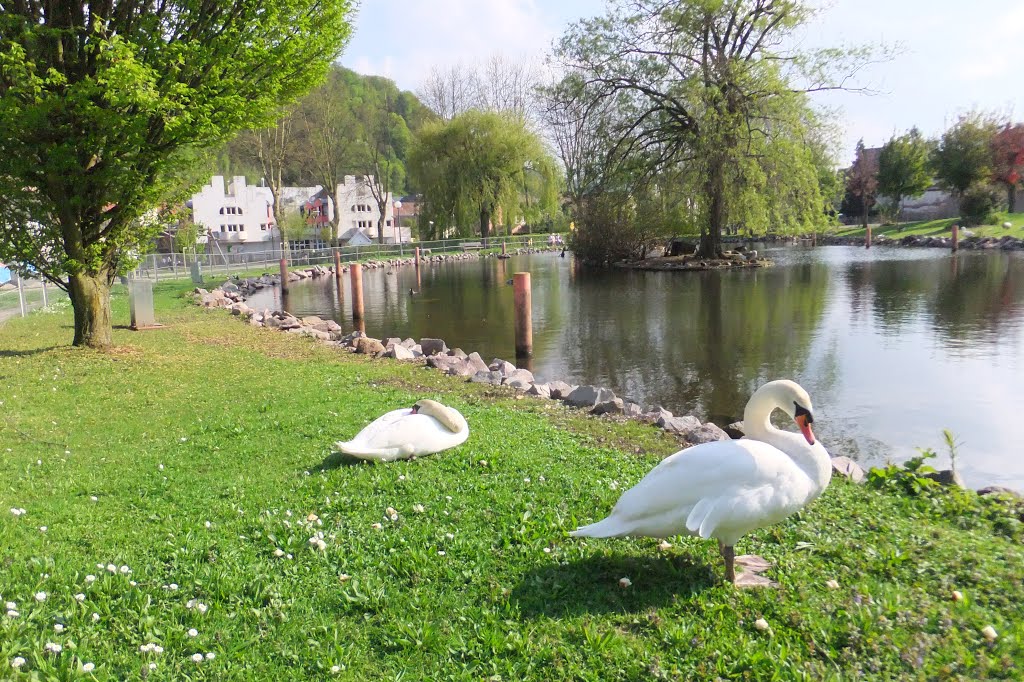 Schirmeck, l'étang du parc municipal by Nidoo