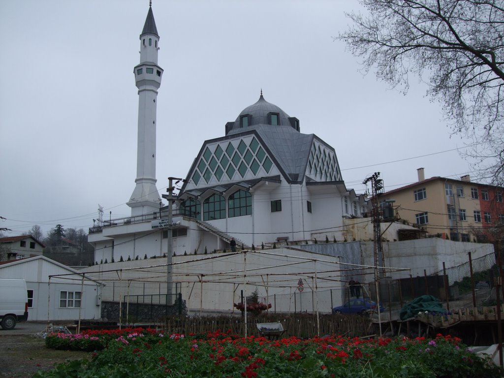 Elmalı köyü ESMA-ÜL HÜSNA CAMİİ by www.camdusakabin.com