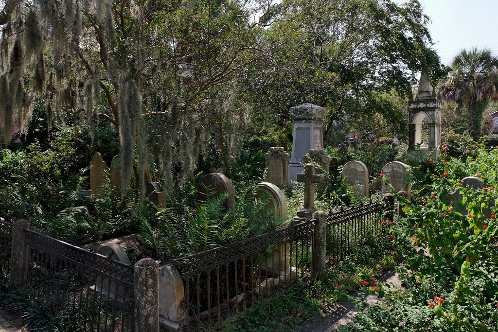 Unitarian Church graveyard- Charleston, S.C. by jamesn2001