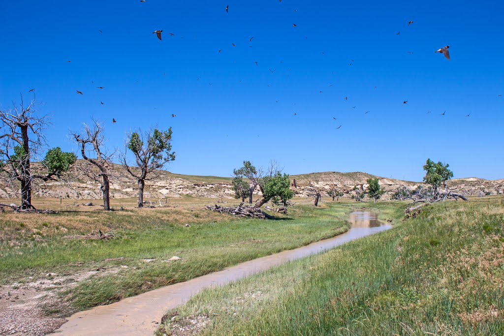 Viewing north, downstream, at Lance Creek, alongside N. Lance Creek Rd. (Niobrara Co. Rd. 14). Lance Creek, Wyoming by elifino57