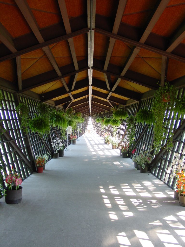 Infinity Room at House on the Rock by yusaku