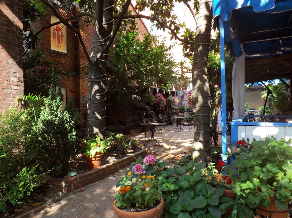 Taverna Cretekou Garden, Alexandria, VA by r.w.dawson