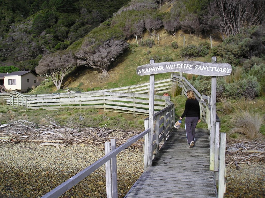 Arapawa Wildlife (Goats) Sanctuary by joeb_008