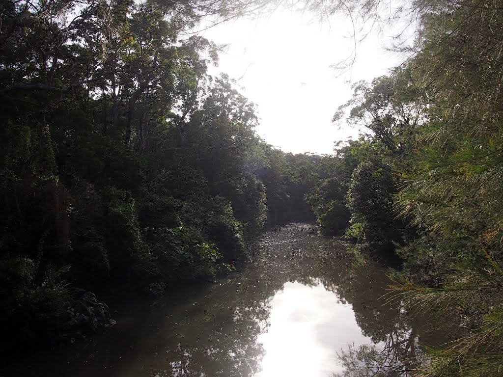 Riverside walking track by WoollyMittens