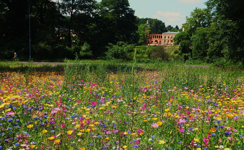 Blick über eine Sommerwiese auf das Krongut Bornstedt --- " Die Freude ist der Sommer, der die inneren Früchte färbt." ( Jean Paul) by Zwischenrast