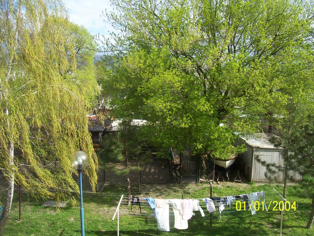 Stromy na dopravnej trees in dopravna by PyroSoul