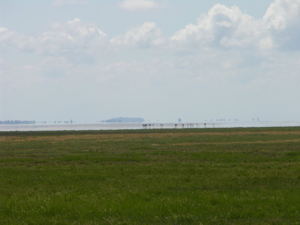 mirage sur la Baie du Mont Saint-Michel by f.  madic