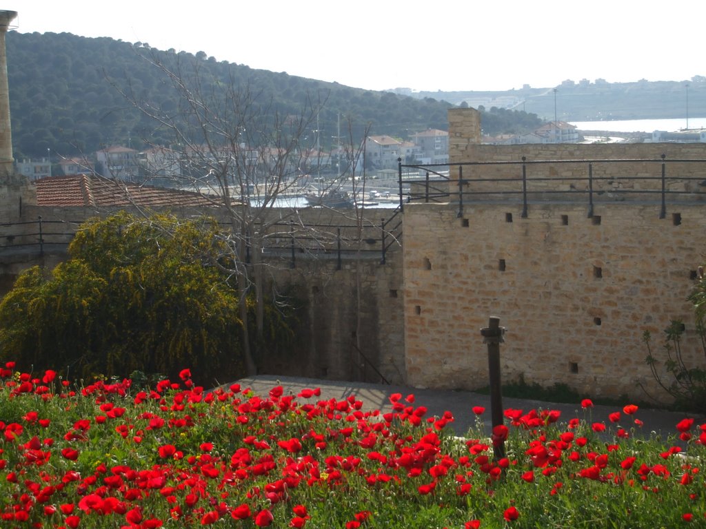 ÇEŞME KALE LALELER by serkans