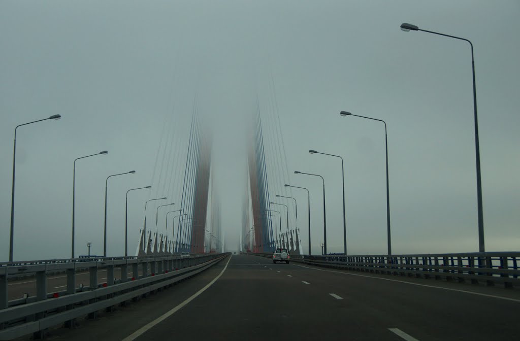 Мост на Русский остров. \ The bridge on the Russian island. by Igor Alekhin