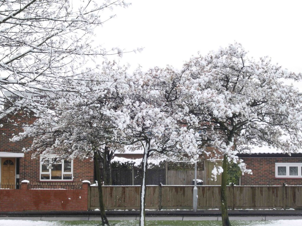 Snow 6th April 2008, Croydon, United Kingdom by Mohammad Aslam Javed Bhatti by Mohammad Aslam Javed…