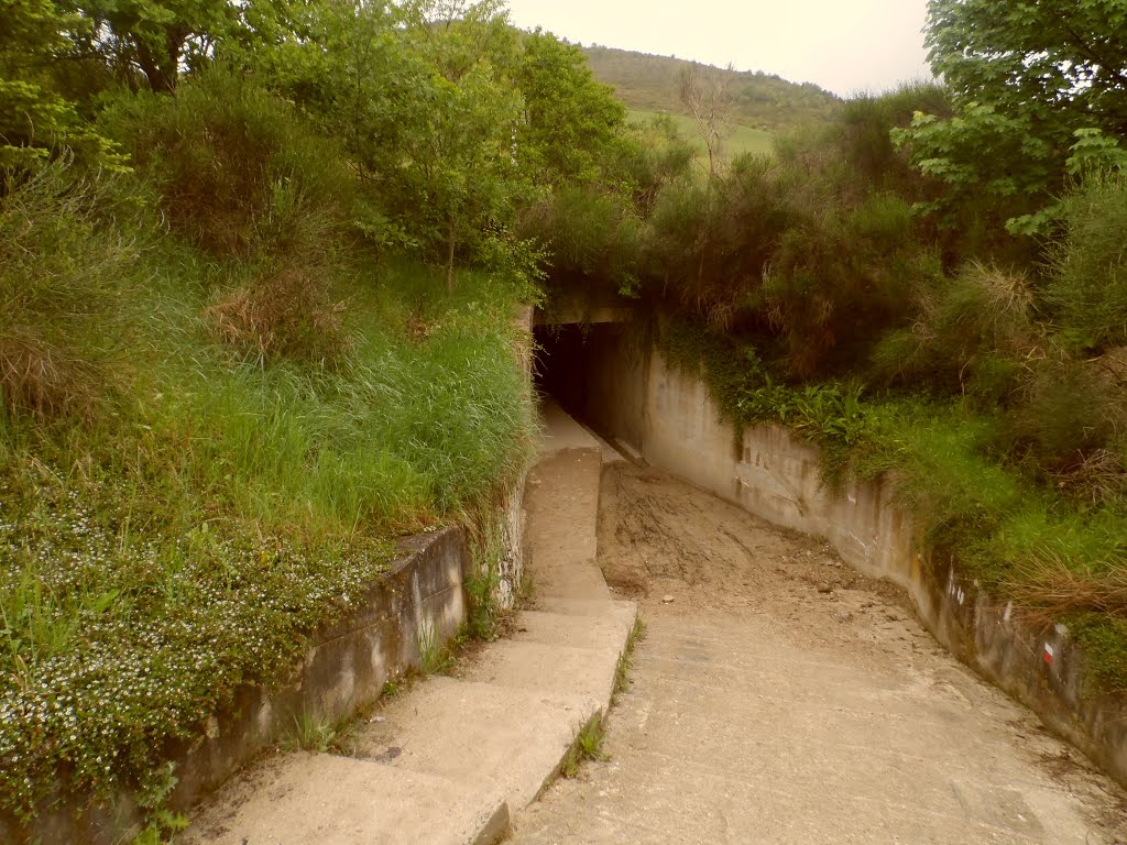 JC® - Caminho de Santiago - Trinidad de Arre - Túnel by José Carminatti