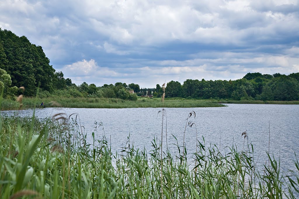 Tuchółka Lake by Jerzy Bartosik