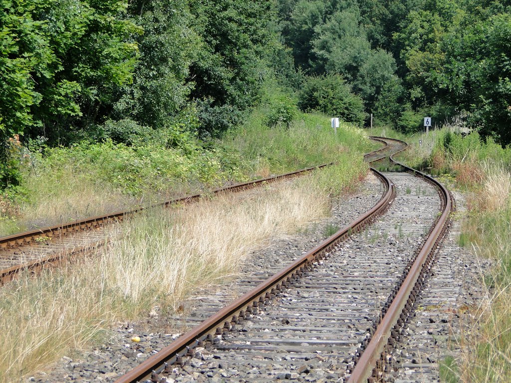 Bahn nach Meyenburg (07/13) by bke