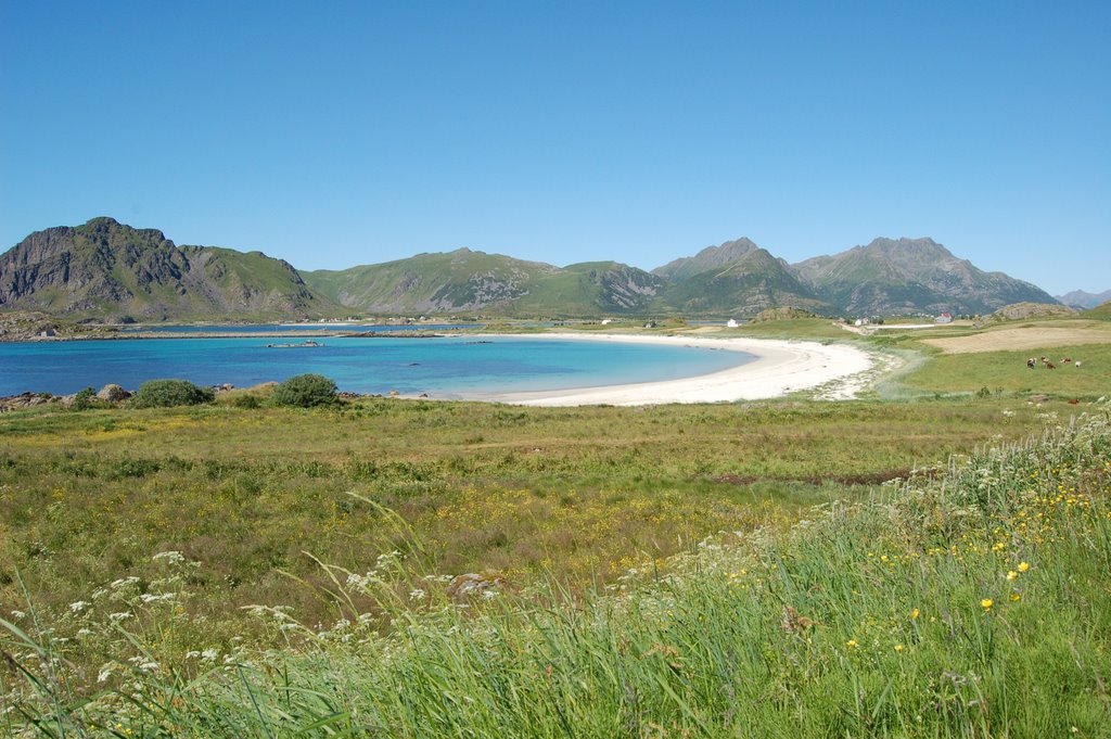 Beach, Fjærvoll by mariba12