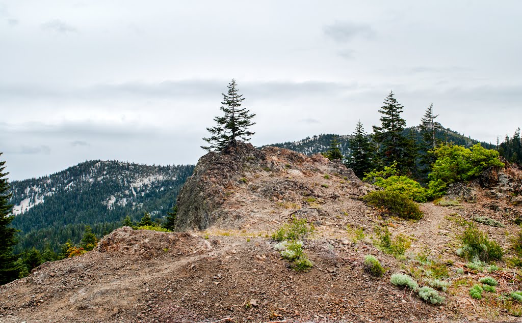 Pacific Crest Trail at Etna Summit DSC_6437 by Larry Butcher