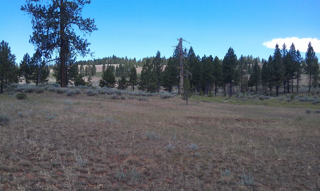 Cottonwood Corrals by jbaren