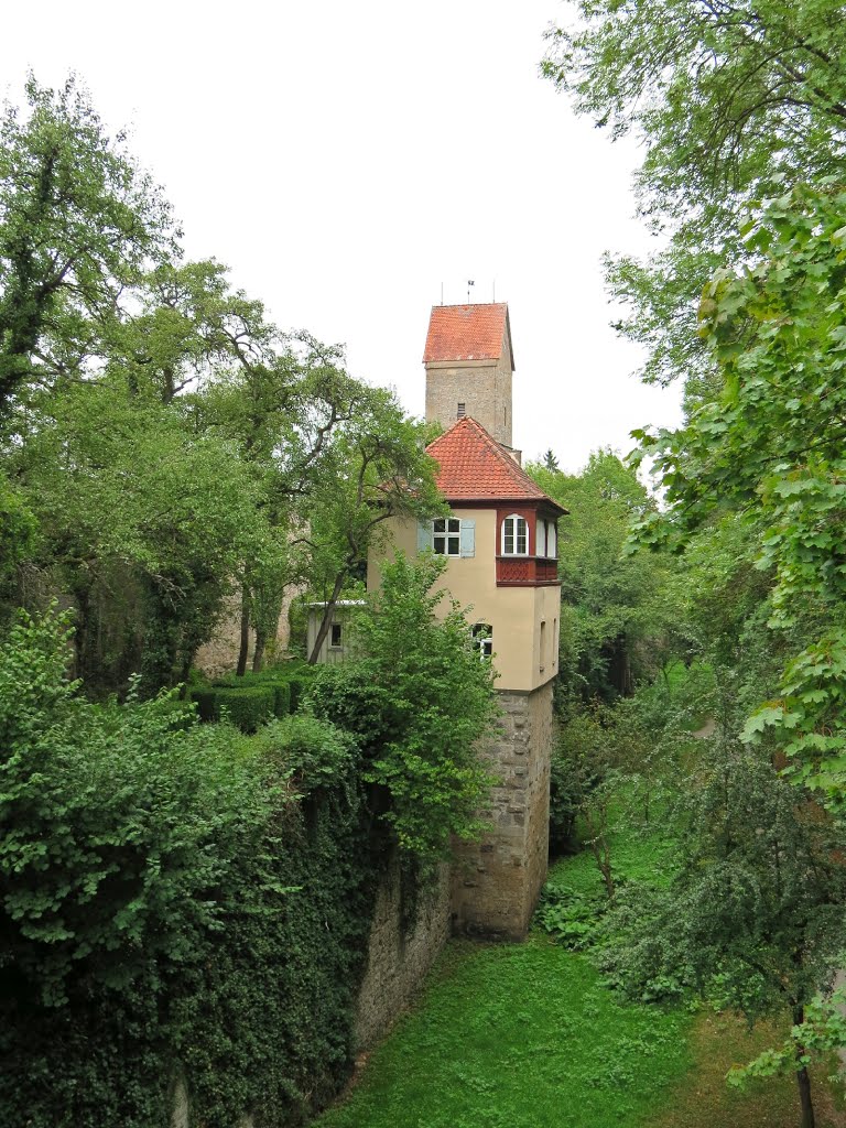 Dinkelsbühl - Stadtgraben by Rudolf Henkel