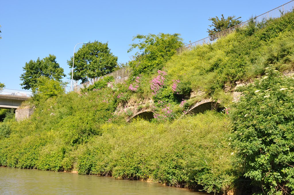 Canal du Midi; Carcassonne by M.Strīķis